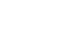 Logo StealVault on Subscription Page