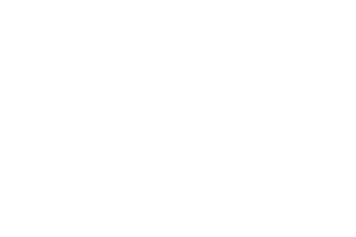 Logo StealVault on Subscription Page