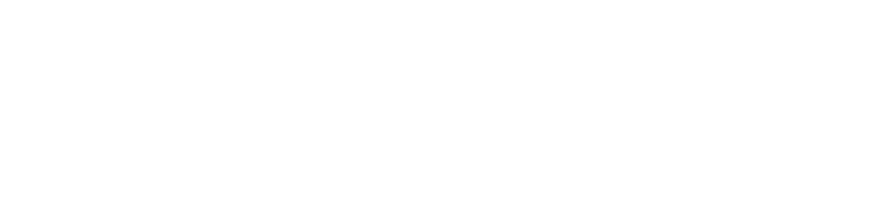 StealVault-Logo